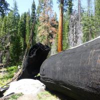 Yosemite-Nationalpark &ndash; &copy; Sylvia Sann (Eberhardt TRAVEL)