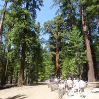Yosemite-Nationalpark &ndash; &copy; Sylvia Sann (Eberhardt TRAVEL)