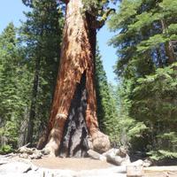 Yosemite-Nationalpark &ndash; &copy; Sylvia Sann (Eberhardt TRAVEL)