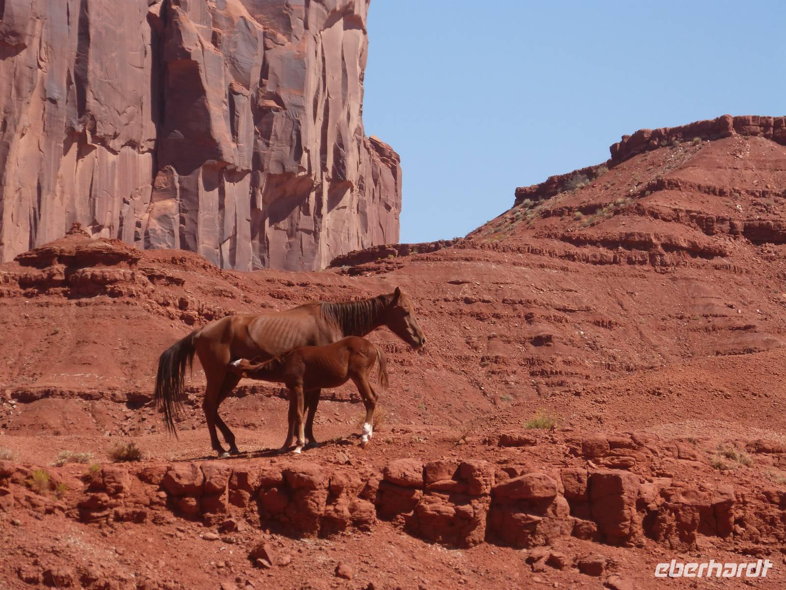 Monument Valley &ndash; &copy; Maria Michel (Eberhardt TRAVEL)