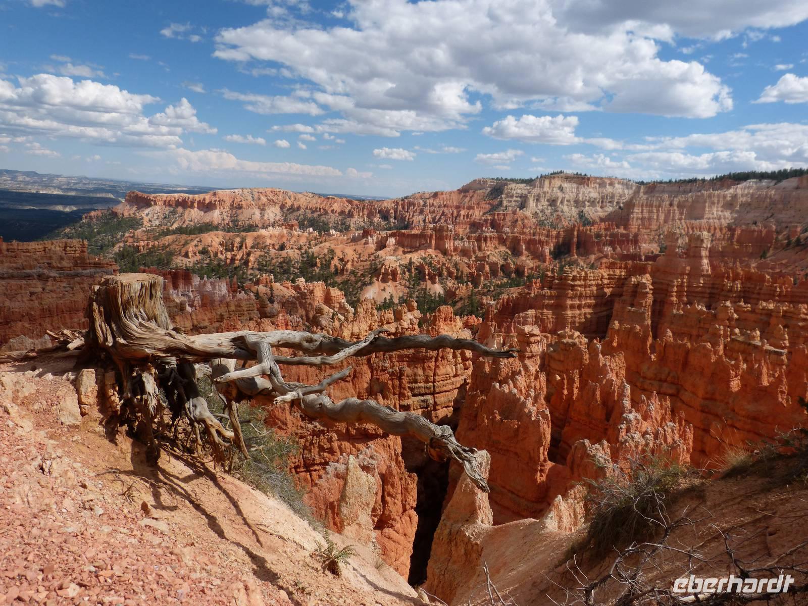 Bryce Canyon &ndash; &copy; Maria Michel (Eberhardt TRAVEL)