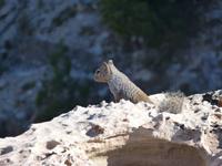 Grand Canyon &ndash; &copy; Maria Michel (Eberhardt TRAVEL)