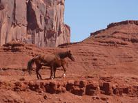 Monument Valley &ndash; &copy; Maria Michel (Eberhardt TRAVEL)