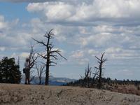 Bryce Canyon &ndash; &copy; Maria Michel (Eberhardt TRAVEL)