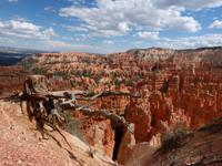 Bryce Canyon &ndash; &copy; Maria Michel (Eberhardt TRAVEL)