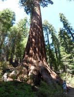 Yosemite Nationalpark &ndash; &copy; Maria Michel (Eberhardt TRAVEL)