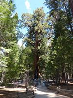 Yosemite Nationalpark &ndash; &copy; Maria Michel (Eberhardt TRAVEL)