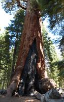 Yosemite Nationalpark &ndash; &copy; Maria Michel (Eberhardt TRAVEL)