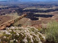 Canyonland &ndash; &copy; Jürgen Schmeißer (Eberhardt TRAVEL)
