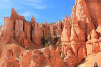 der Bryce Canyon &ndash; &copy; Elisa Müller (Eberhardt TRAVEL)