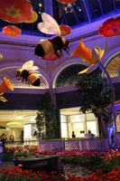 Bellagio &ndash; &copy; Elisa Müller (Eberhardt TRAVEL)