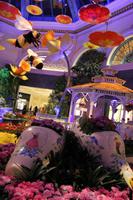 Bellagio &ndash; &copy; Elisa Müller (Eberhardt TRAVEL)