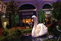 Bellagio &ndash; &copy; Elisa Müller (Eberhardt TRAVEL)