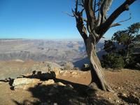 Grand Canyon &ndash; &copy; Constanze Hölig (Eberhardt TRAVEL)