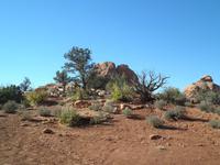 Arches Nationalpark &ndash; &copy; Constanze Hölig (Eberhardt TRAVEL)