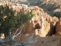 Bryce Canyon &ndash; &copy; Constanze Hölig (Eberhardt TRAVEL)