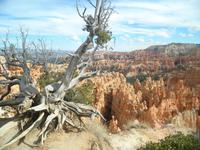 Bryce Canyon &ndash; &copy; Constanze Hölig (Eberhardt TRAVEL)