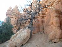 Red Valley &ndash; &copy; Constanze Hölig (Eberhardt TRAVEL)