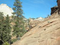 Zion Nationalpark &ndash; &copy; Constanze Hölig (Eberhardt TRAVEL)