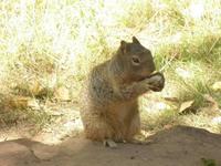 Zion Nationalpark &ndash; &copy; Constanze Hölig (Eberhardt TRAVEL)