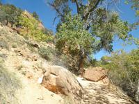 Zion Nationalpark &ndash; &copy; Constanze Hölig (Eberhardt TRAVEL)