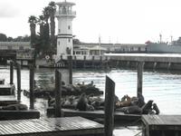 San Franzisco &ndash; &copy; Constanze Hölig (Eberhardt TRAVEL)