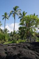 Pu'uhonua o Honaunau National Historical Park &ndash; &copy; Maria Drewans (Eberhardt TRAVEL)