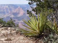 Grand Canyon &ndash; &copy; Ralf Mehnert (Eberhardt TRAVEL)