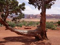 Monument Valley &ndash; &copy; Ralf Mehnert (Eberhardt TRAVEL)