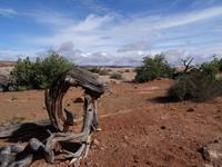 Arches Nationalpark &ndash; &copy; Ralf Mehnert (Eberhardt TRAVEL)
