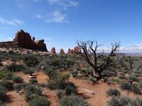 Arches Nationalpark &ndash; &copy; Ralf Mehnert (Eberhardt TRAVEL)