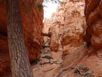 Bryce Canyon &ndash; &copy; Ralf Mehnert (Eberhardt TRAVEL)