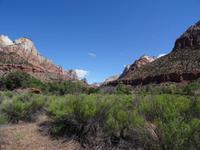 Zion Nationalpark &ndash; &copy; Ralf Mehnert (Eberhardt TRAVEL)