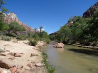 Zion Nationalpark - Virgin River &ndash; &copy; Ralf Mehnert (Eberhardt TRAVEL)