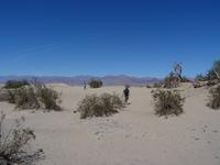 Mesquite Sand Dunes &ndash; &copy; Ralf Mehnert (Eberhardt TRAVEL)