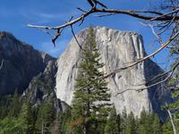 Yosemite Valley - El Capitan &ndash; &copy; Ralf Mehnert (Eberhardt TRAVEL)