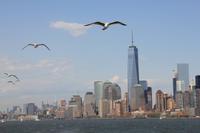 New York City Bootstour &ndash; &copy; Sylvia Ott (Eberhardt TRAVEL)