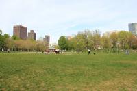 Boston - Boston Common &ndash; &copy; Sylvia Ott (Eberhardt TRAVEL)