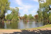 Boston - Public Garden &ndash; &copy; Sylvia Ott (Eberhardt TRAVEL)