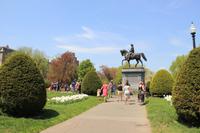 Boston - Public Garden &ndash; &copy; Sylvia Ott (Eberhardt TRAVEL)