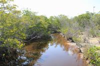 J.N. Ding Darling National Wildlife Refuge &ndash; &copy; Sylvia Ott (Eberhardt TRAVEL)