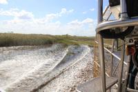 Propellerbootfahrt in den Everglades &ndash; &copy; Sylvia Ott (Eberhardt TRAVEL)