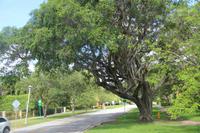 Miami &ndash; &copy; Sylvia Ott (Eberhardt TRAVEL)