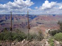 Grand Canyon &ndash; &copy; Ralf Mehnert (Eberhardt TRAVEL)