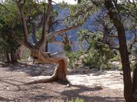 Am Grand Canyon &ndash; &copy; Ralf Mehnert (Eberhardt TRAVEL)