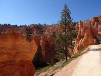 Bryce Canyon &ndash; &copy; Ralf Mehnert (Eberhardt TRAVEL)