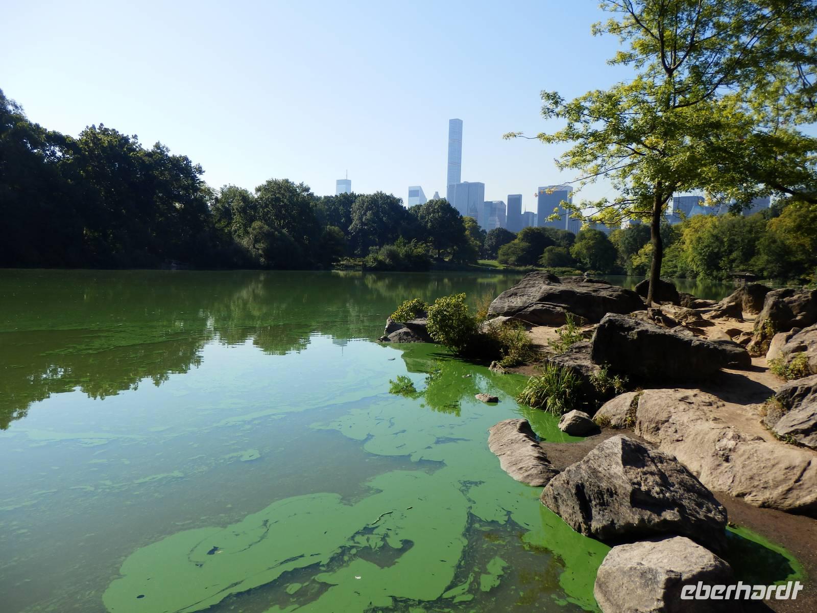 im Central Park &ndash; &copy; Kristin Werner (Eberhardt TRAVEL)