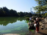 im Central Park &ndash; &copy; Kristin Werner (Eberhardt TRAVEL)