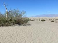Death Valley, Dünen &ndash; &copy; Jürgen Schmeißer (Eberhardt TRAVEL)