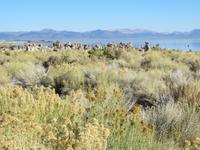 Mono Lake &ndash; &copy; Jürgen Schmeißer (Eberhardt TRAVEL)